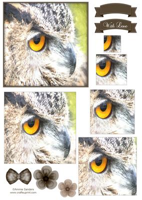Owls Face Watercolour Pyramid Topper
