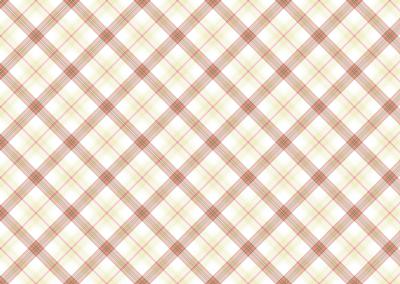 Beautiful Pink & Green Fairy Backing Paper