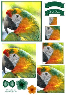 Macaw Parrot Watercolour Pyramid Topper