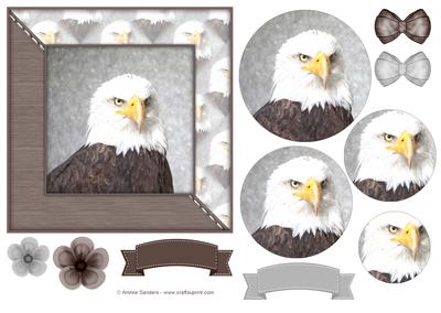 Eagle Watercolour 6x6 Card Front & Decoupage