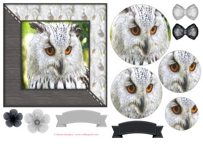 Owl Watercolour 6x6 Card Front & Decoupage
