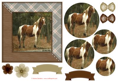 Wild Pony Watercolour 6x6 Card Front & Decoupage
