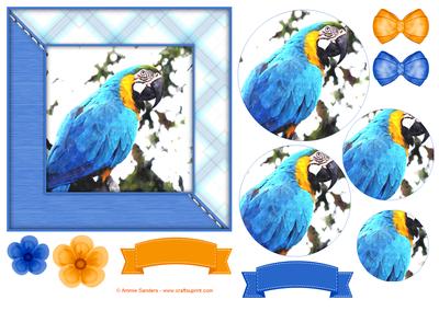 Macaw Parrot Watercolour 6x6 Card Front & Decoupage