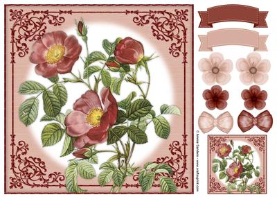 Vintage Rose 8x8 Topper & Embellishments