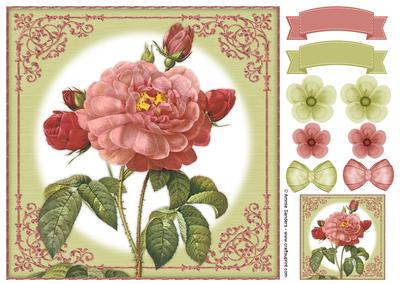 Vintage Rose 8x8 Topper & Embellishments