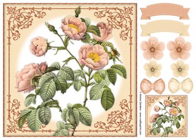 Vintage Rose 8x8 Topper & Embellishments