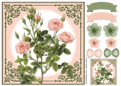 Vintage Rose 8x8 Topper & Embellishments