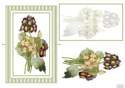 Beautiful Floral & Butterfly Spinner Card