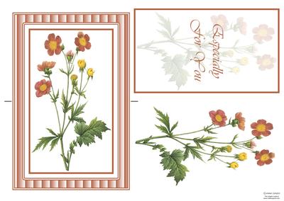 Beautiful Deep Pink Floral Spinner Card
