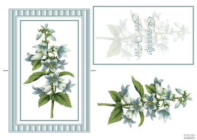 Beautiful Bluebells Spinner Card