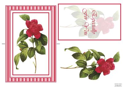Stunning Cerise Floral Spinner Card