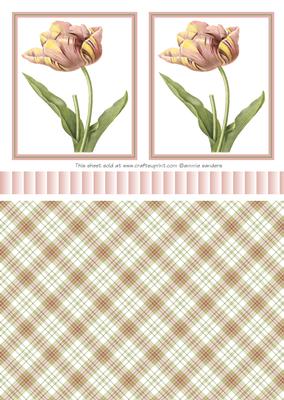 Beautiful Pink & Yellow Tulip Toppers