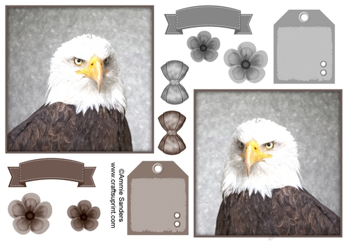 American Eagle Toppers & Embellishments