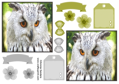 Beautiful Owl Toppers & Embellishments