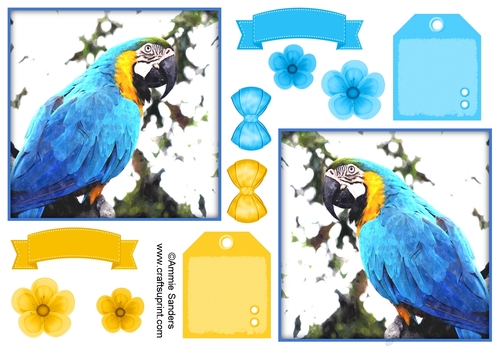Macaw Parrot Toppers & Embellishments