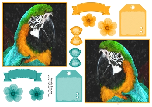 Macaw Parrot Toppers & Embellishments