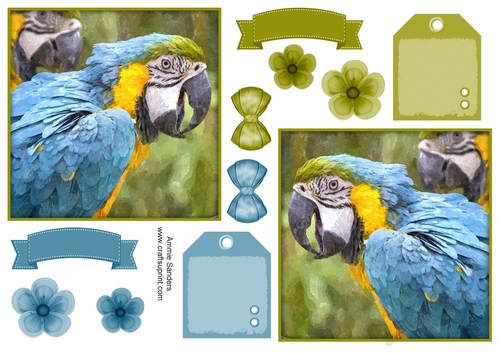 Macaw Parrot Toppers & Embellishments