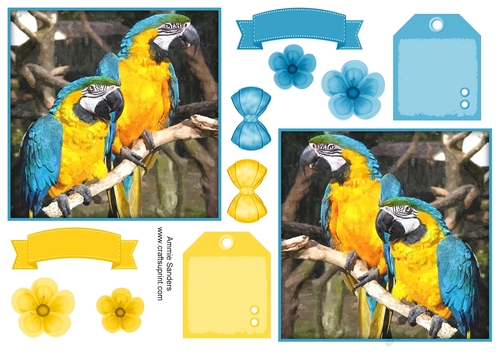 Macaw Parrot Toppers & Embellishments
