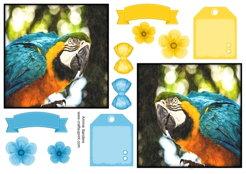 Macaw Parrot Toppers & Embellishments