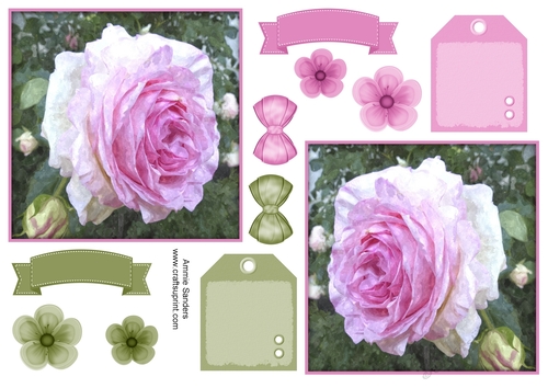 Pink Rose Toppers & Embellishments