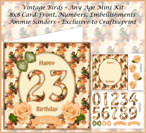 Vintage Birds Any Age 8x8 Mini Kit