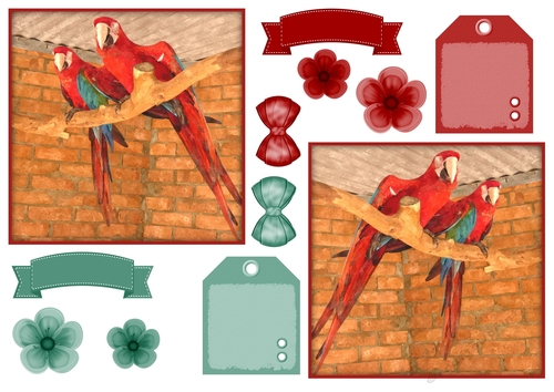 Macaw Parrot Toppers & Embellishments