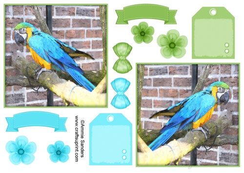 Macaw Parrot Toppers & Embellishments
