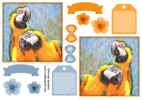 Macaw Parrot Toppers & Embellishments