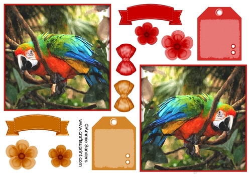 Macaw Parrot Toppers & Embellishments