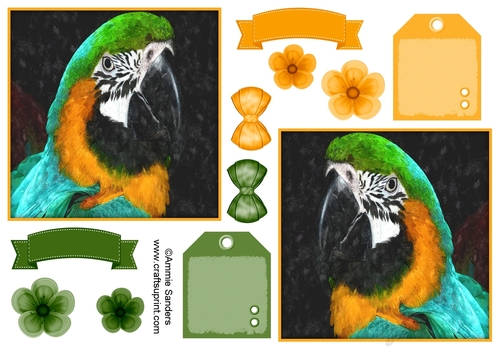 Macaw Parrot Toppers & Embellishments