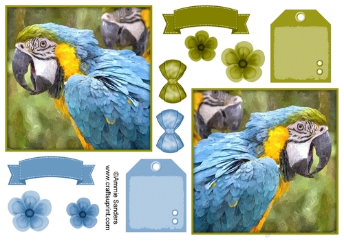 Macaw Parrot Toppers & Embellishments