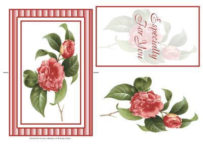 Stunning Wild Rose Spinner Card