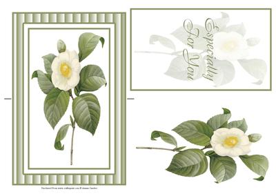Stunning White Flower Spinner Card
