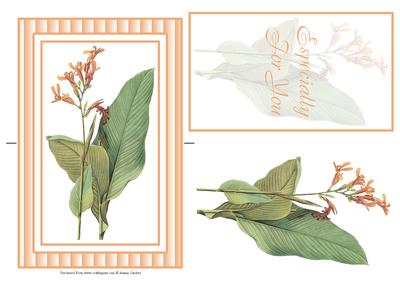 Stunning Peach Flower Spinner Card