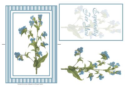 Stunning Blue Flowers Spinner Card