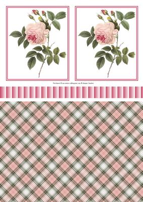 Pretty Pink Roses Toppers, Ribbon & Background
