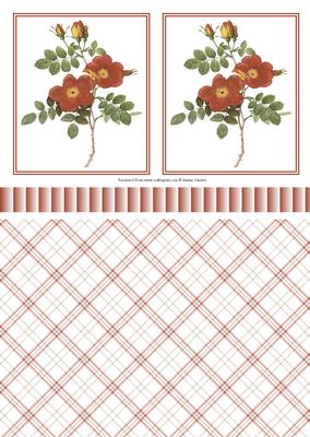 Pretty Wild Roses Toppers, Ribbon & Background