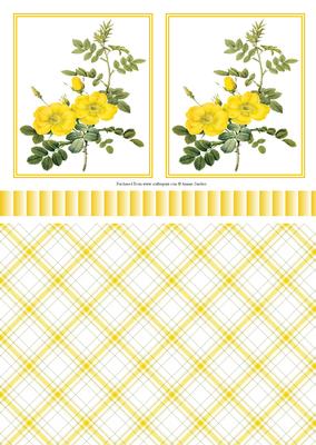 Pretty Wild Roses Toppers, Ribbon & Background