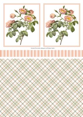 Pretty Pink Wild Roses Toppers, Ribbon & Background