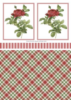 Gorgeous Deep Red Rose Toppers, Ribbon & Background