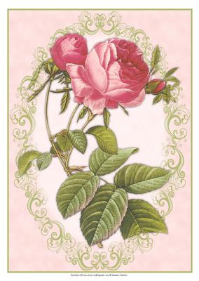 Beautiful Framed Red Roses