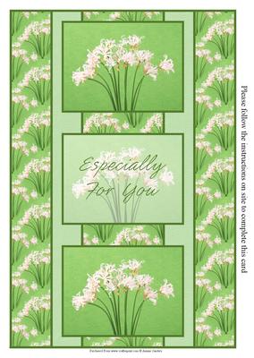Pretty White Flowers 3 Panel Fold Back