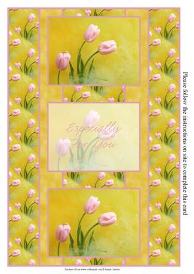 Pretty Pink Tulips 3 Panel Fold Back