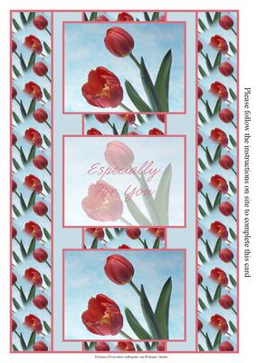 Pretty Red Tulips 3 Panel Fold Back