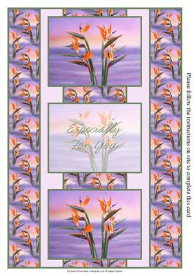 Bird of Paradise Flowers 3 Panel Fold Bac