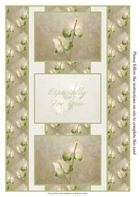 Delicate Floral Display 3 Panel Fold Back
