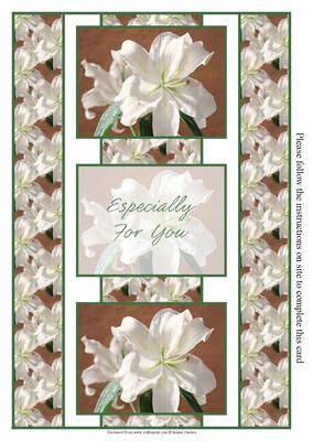 Stunning White Oriental Lily 3 Panel Fold Back