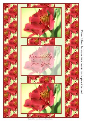 Beautiful Deep Pink Oriental Lily 3 Panel Fold Back