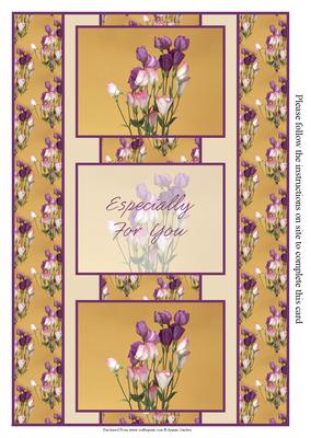 Delicate Pink & Purple Floral 3 Panel Fold Back