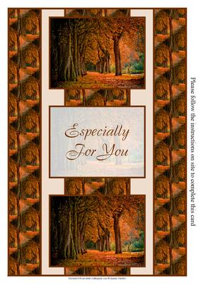 Stunning Autumn Woods 3 Panel Fold Back